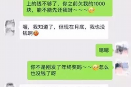 河北如何避免债务纠纷？专业追讨公司教您应对之策